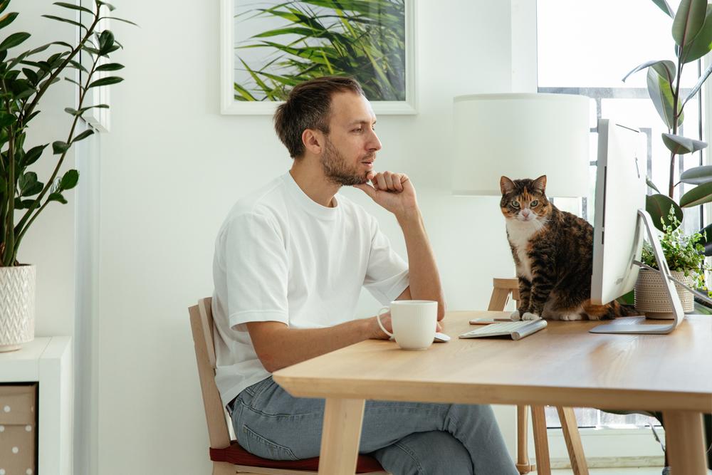 Working from backyard office